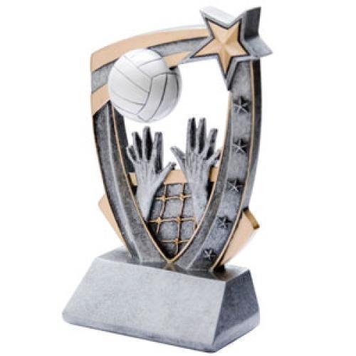 3D Resin Volleyball