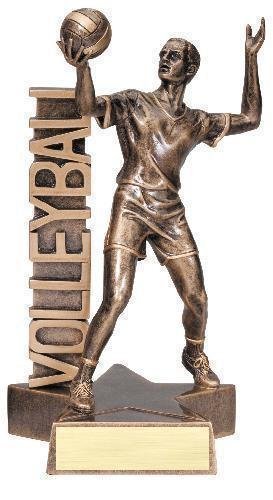 Billboard Series -Volleyball Male