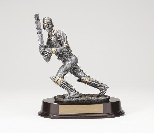 Cricket Batsman