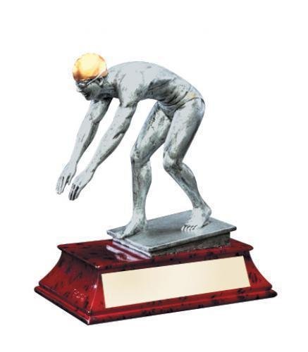 Elite Series Swimming Awards