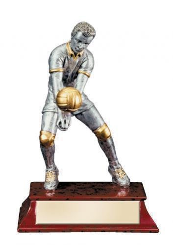 Elite Series Volleyball Awards