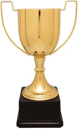 Gold Completed Zinc Cup