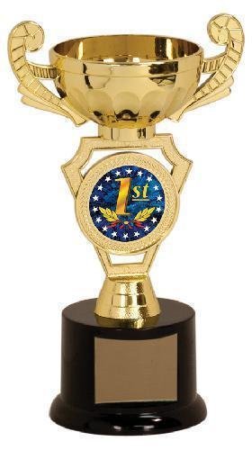 Gold Cup Trophy with 2″ Insert