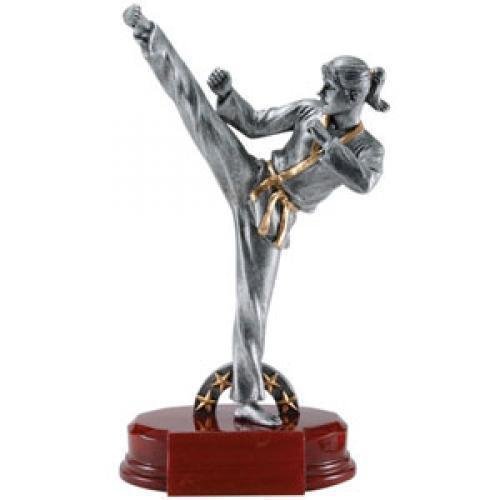 Karate, F. Resin
