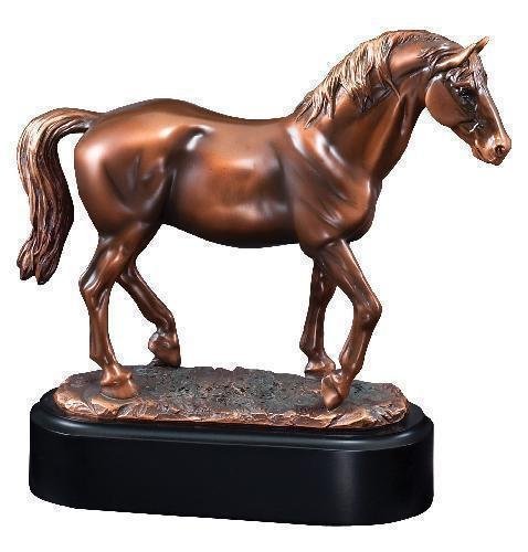 Lipizzaner Stallion