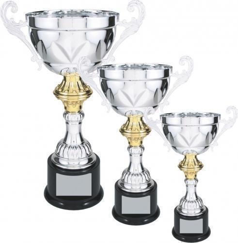 Silver Metal Loving Cup with Gold Accent